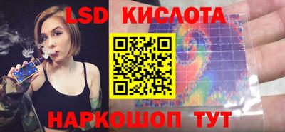 крисы Гусев