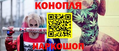 крисы Гусев