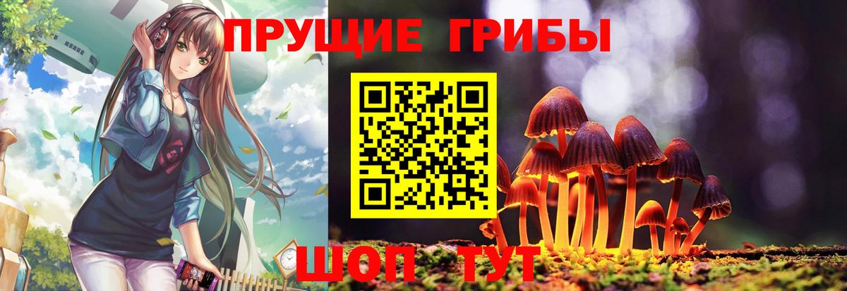 Мытищи  Галлюциногенные грибы Magic Shrooms  Вход с VPN 